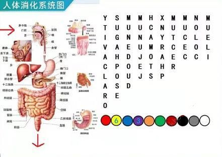 犯罪大师密室8月1日逃脱答案是什么？8月1日密室逃脱正确答案分析