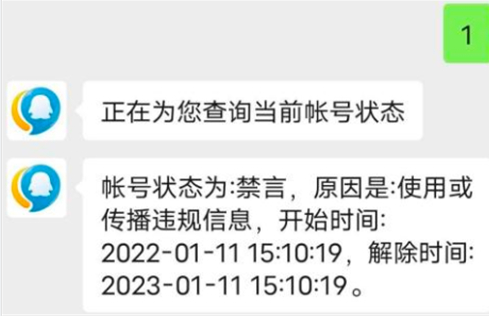 王者荣耀被禁言24h解封