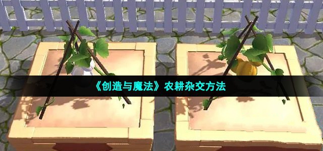 创造与魔法农耕杂交方法_创造与魔法农耕杂交的方法是什么