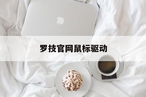 罗技鼠标驱动叫什么名字