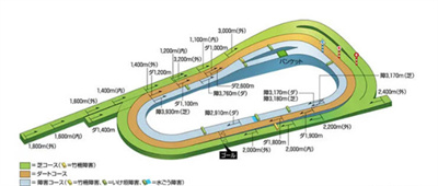 闪耀优俊少女比赛场地数量介绍-闪耀优俊少女比赛场地大全