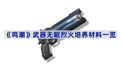 《鸣潮》武器无眠烈火培养材料一览