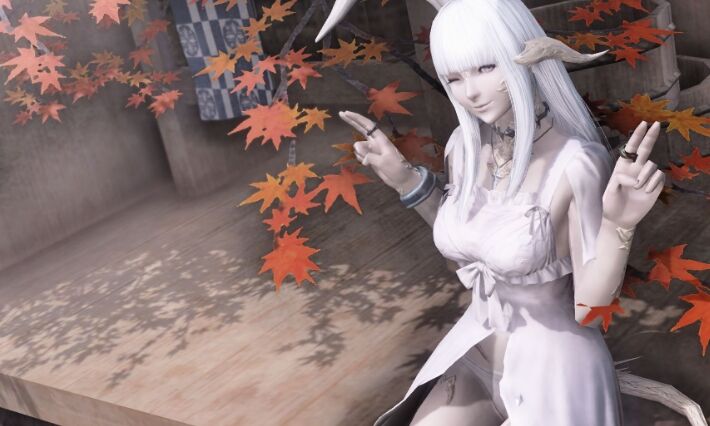 ff14莫莫拉莫拉宠物怎么获得 ff14莫莫拉莫拉获得方法